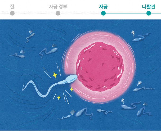 정자네 이미지