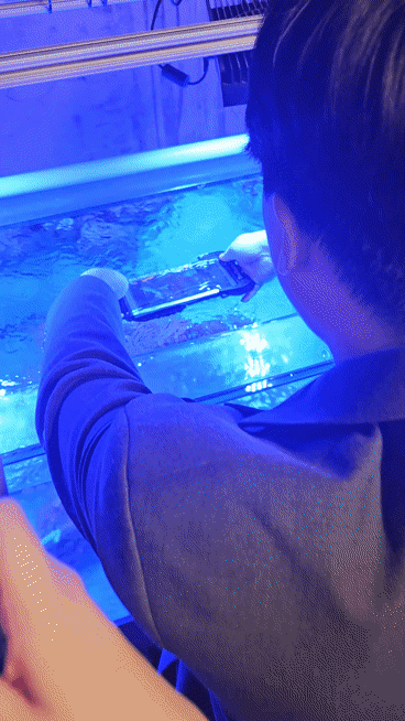 '오션 모드(Ocean mode)'가 적용된 갤럭시S24 울트라로 수중 촬영을 하는 모습.