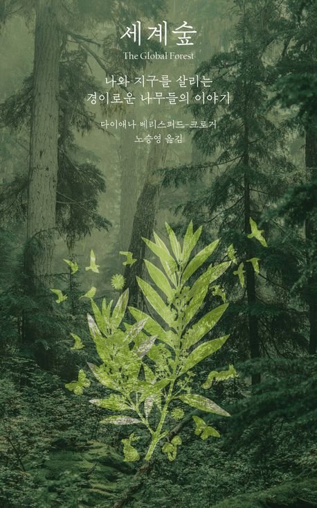 세계 이미지