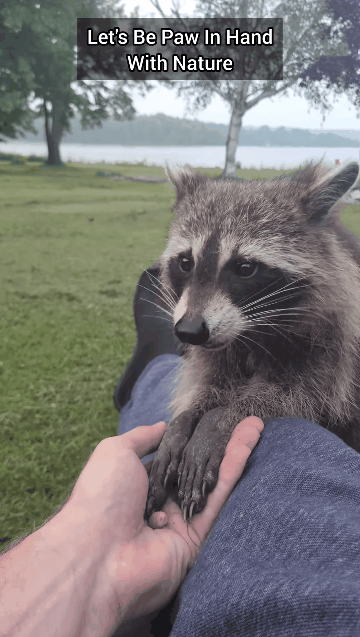 74ec8771e18b39a56aef82e24085223993d5fd4a84a91eaefb1a7cda091cc1fd089aa7eed2d09035b781d6db75d1cd25f1ac3b07e18a0e46c294