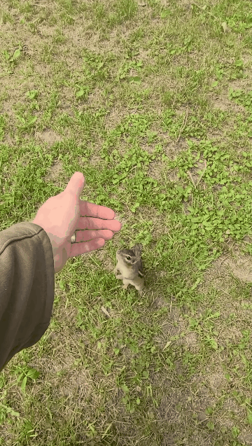 7ebfd472e4823dfe3fe88fb04fd77364d8154db4034162b6c16a8fd866943b280a7d8810c6fd7b77c1e959751e317f47ef55d4f042fd6e2b1e35