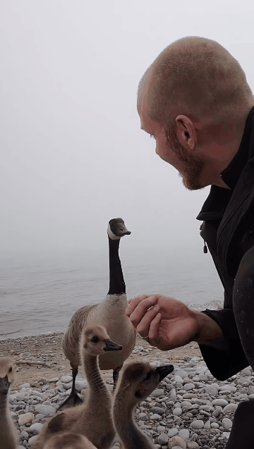 7feed477e48a3af13db981b140807669f4196a50f72ffd7b901c900418d5123dd5328c09ba7bf4a17790d291f14a77de9a37e185a532f8f3908f