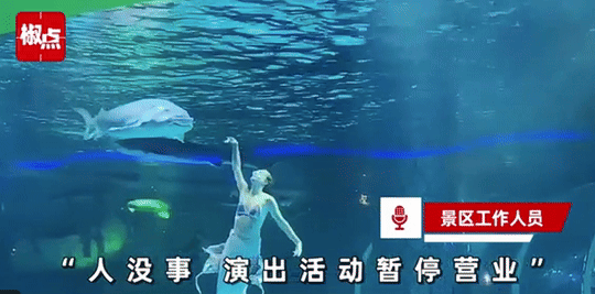 철갑상어가 인어공주 女배우 머리를 '덥석'..아쿠아리