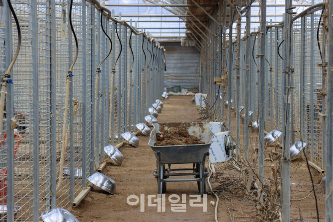 상근농장 이미지