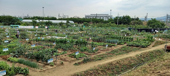 수성 이미지