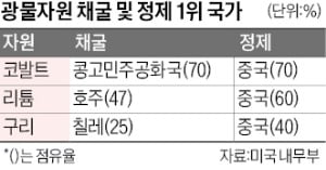 정점 이미지