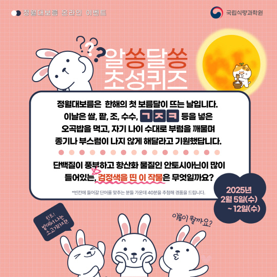 정월 이미지