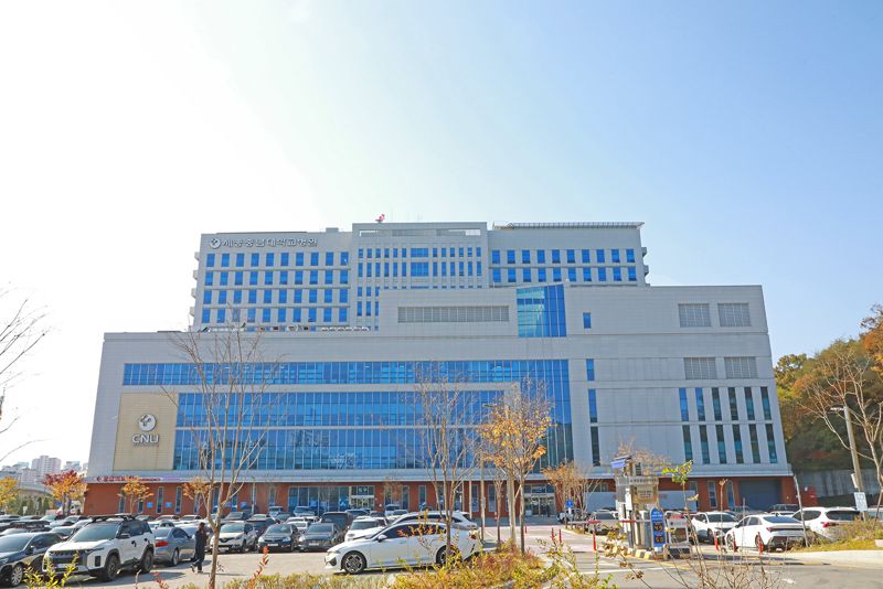 세종 이미지