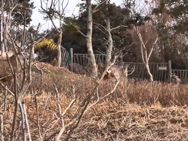 온라인 커뮤니티