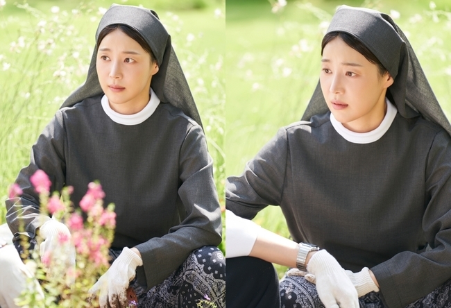 보물섬 이미지