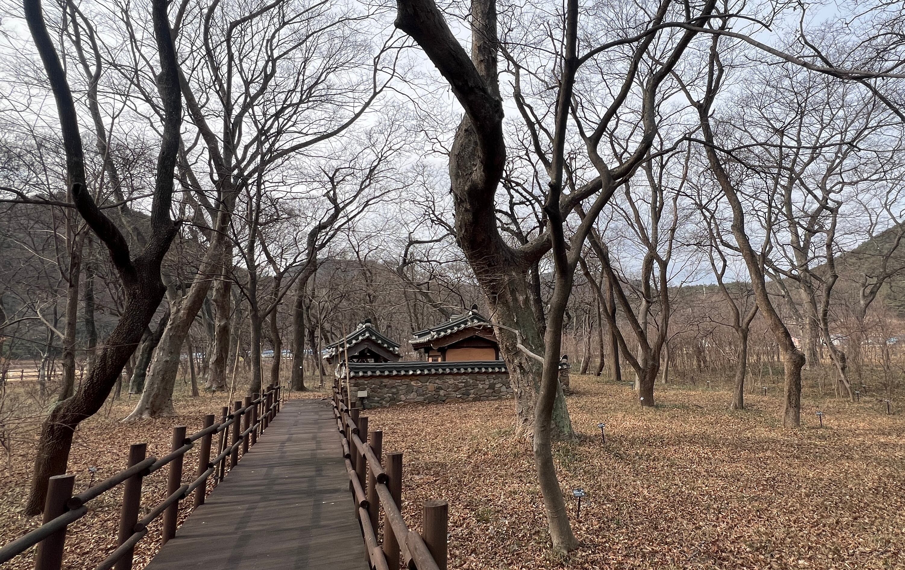 안녕숲 이미지