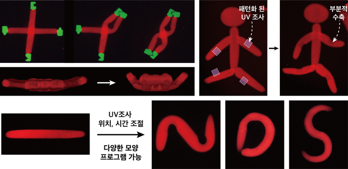 수화로 이미지