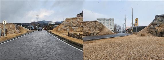 두그루나무 이미지