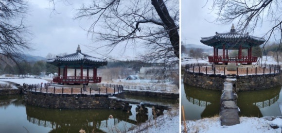 연꽃상회 이미지