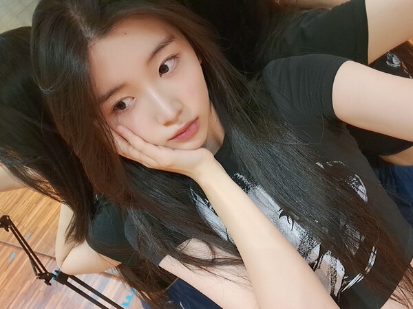 프로젝트H 이미지