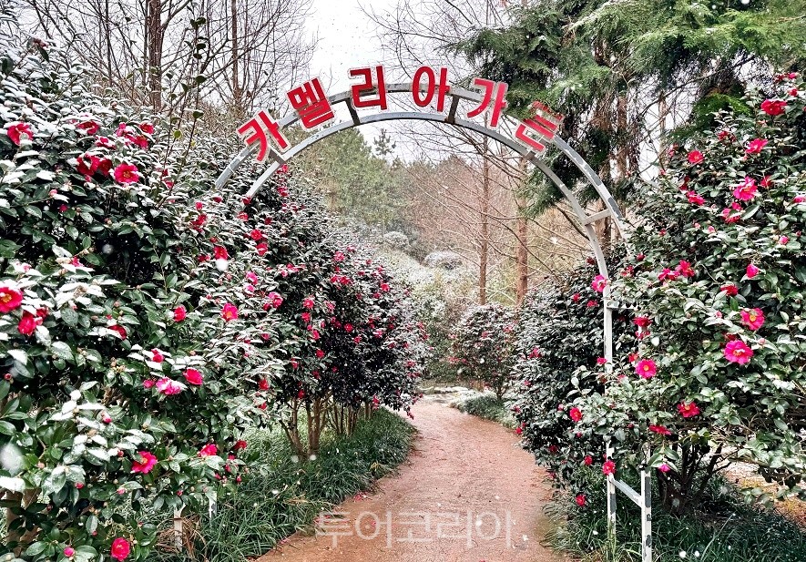 (주)동백투어 이미지
