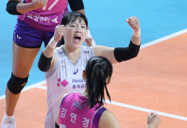 리베로MD 이미지