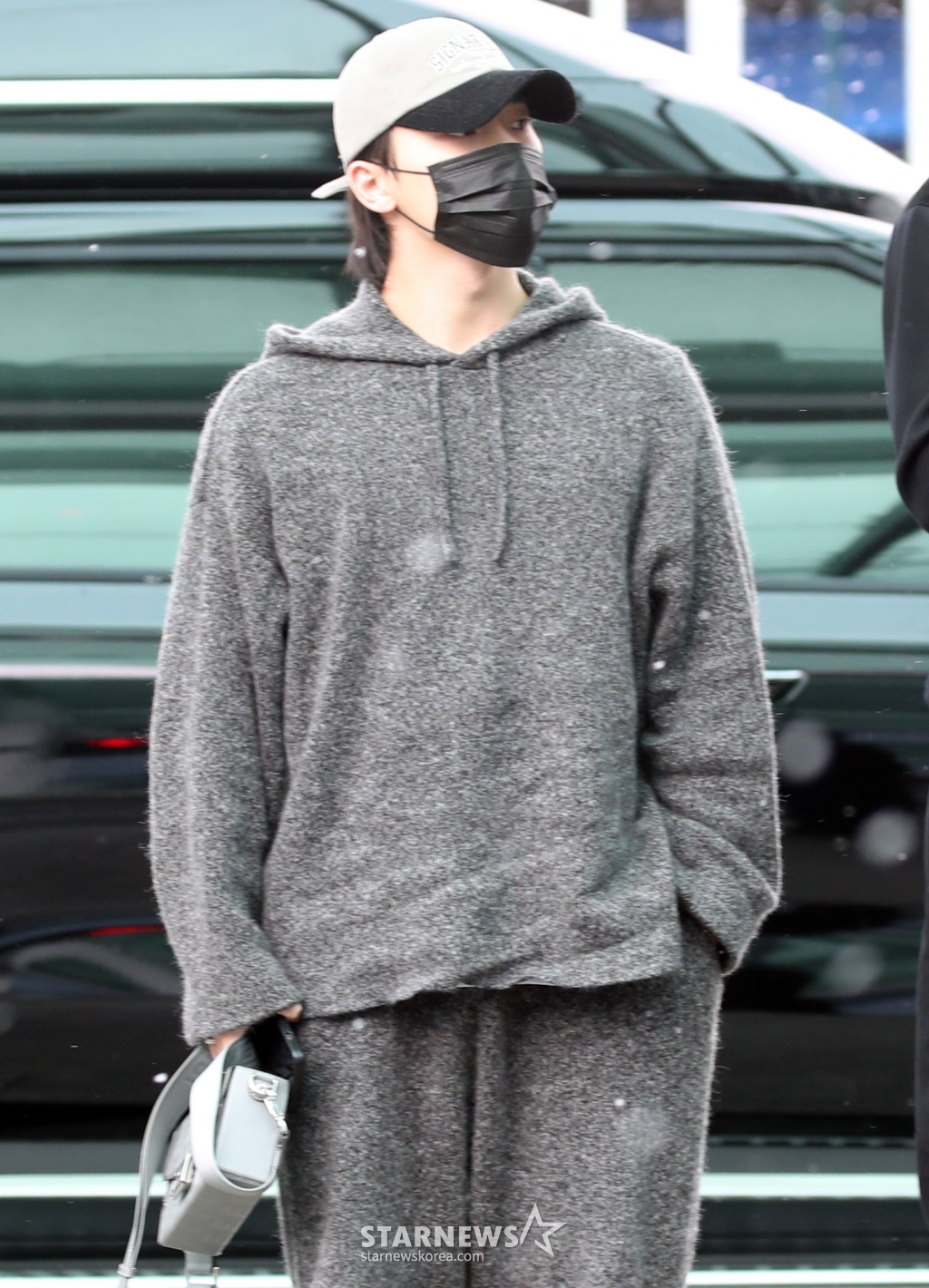 디노 이미지