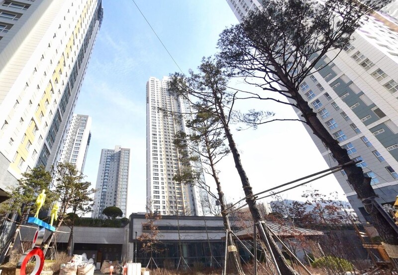 세종 이미지