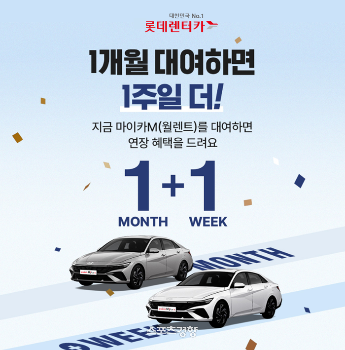 대한렌터카 이미지