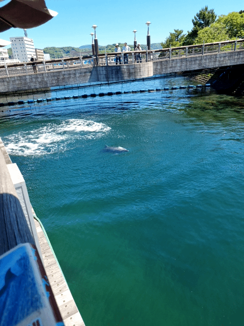 78ea9e21ecd418986abce89544867c68df58e4