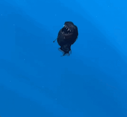 /사진=콘드릭 테네리페 인스타그램 갈무리