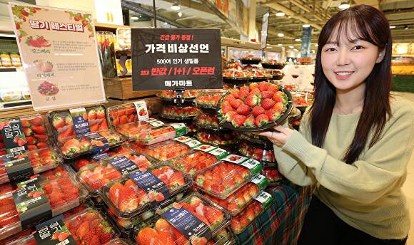 메가마트 이미지