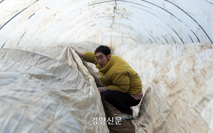 두지리슈퍼 이미지