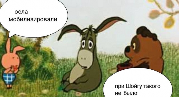 미디어동원 이미지