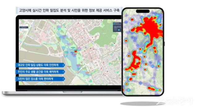고양고양 이미지