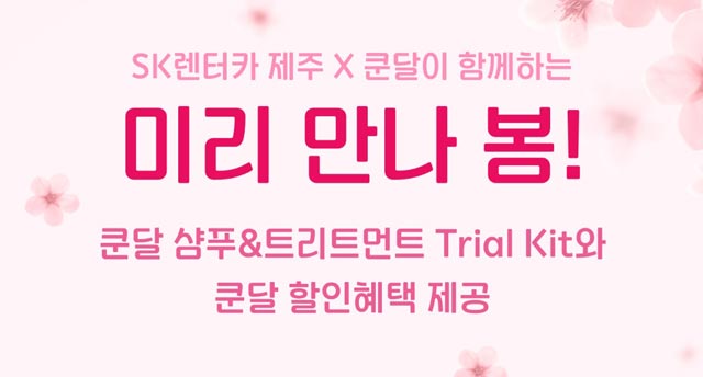에스케이렌터카 이미지