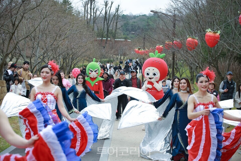 팀21 이미지