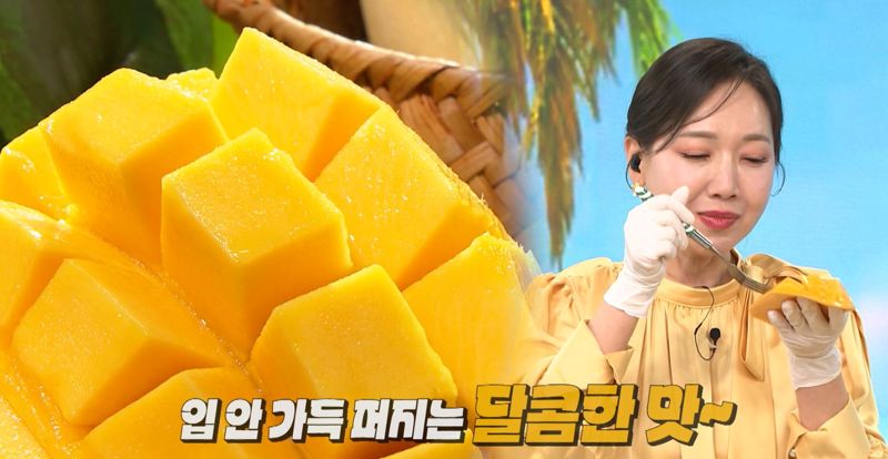 신세계과일 이미지