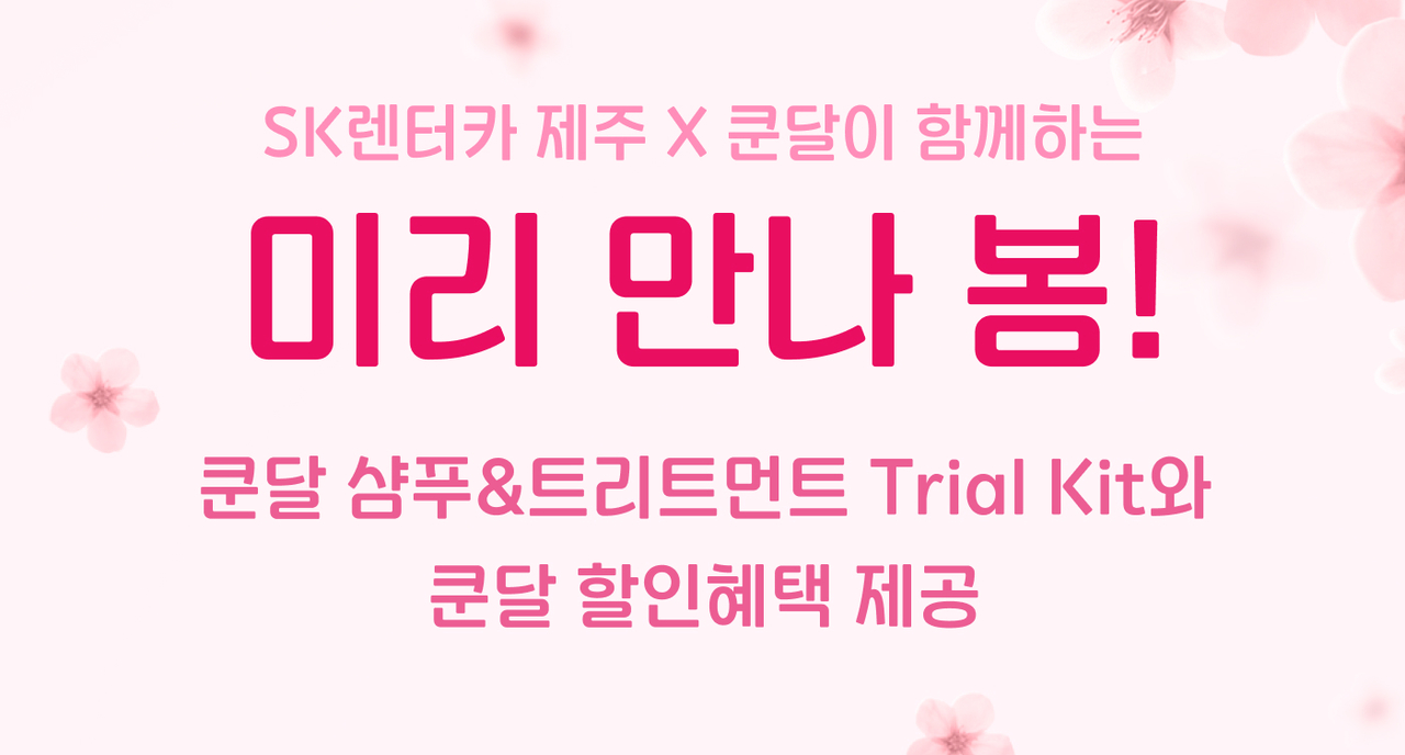 렌터카 이미지