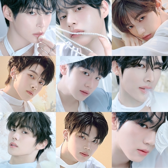 원엘 이미지