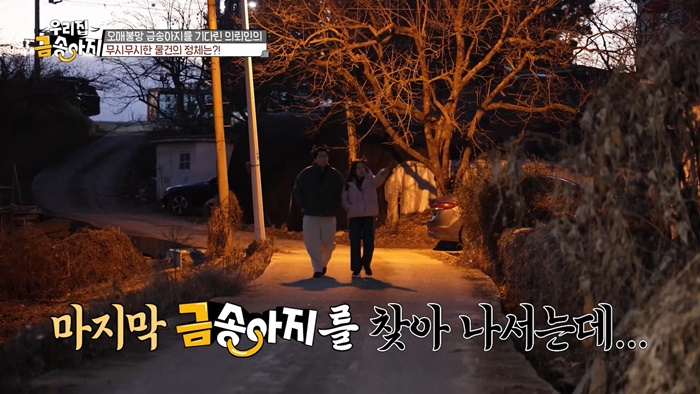 금송아지 이미지
