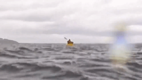 <출처=엑스(X·구 트위터) 갈무리>