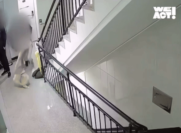 (동물구조단체 사단법인 위액트 제공)