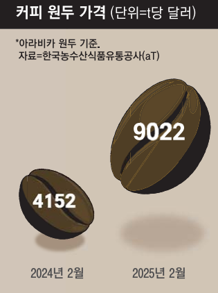 카페117 이미지