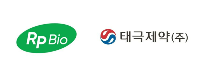 알피 이미지