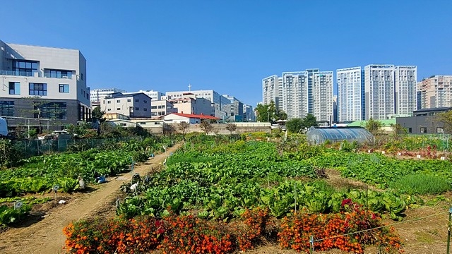 텃밭 이미지