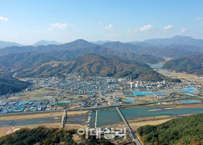 대가야 이미지