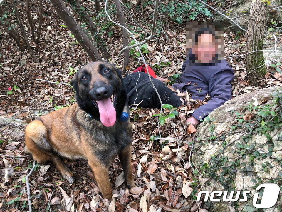 고양소방서(119구조대) 이미지