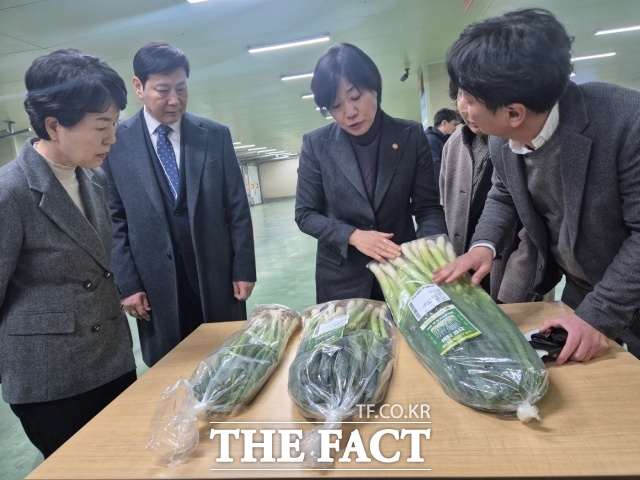 진도종합식품 이미지