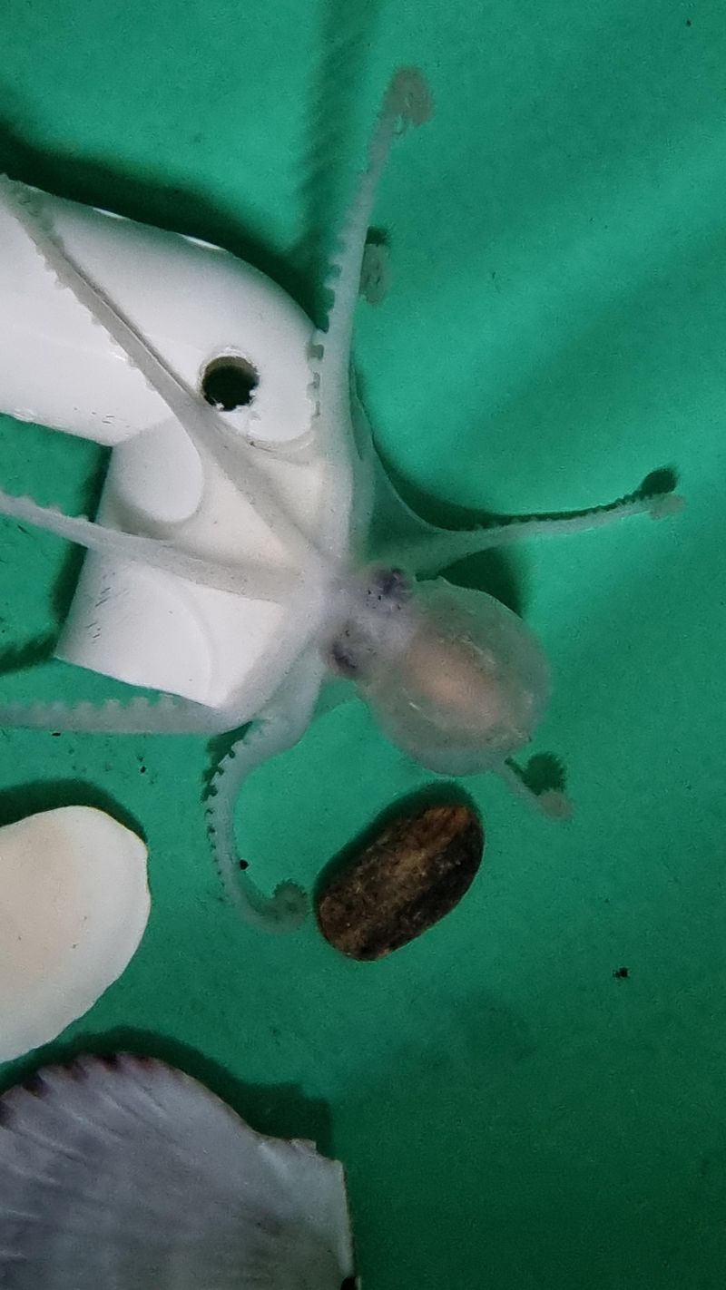 대문수산 이미지