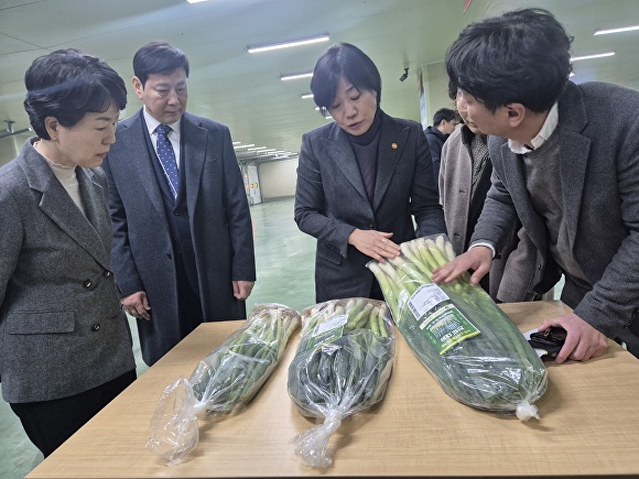 진도종합식품 이미지