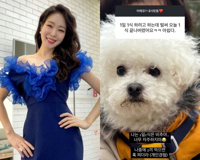훅 이미지