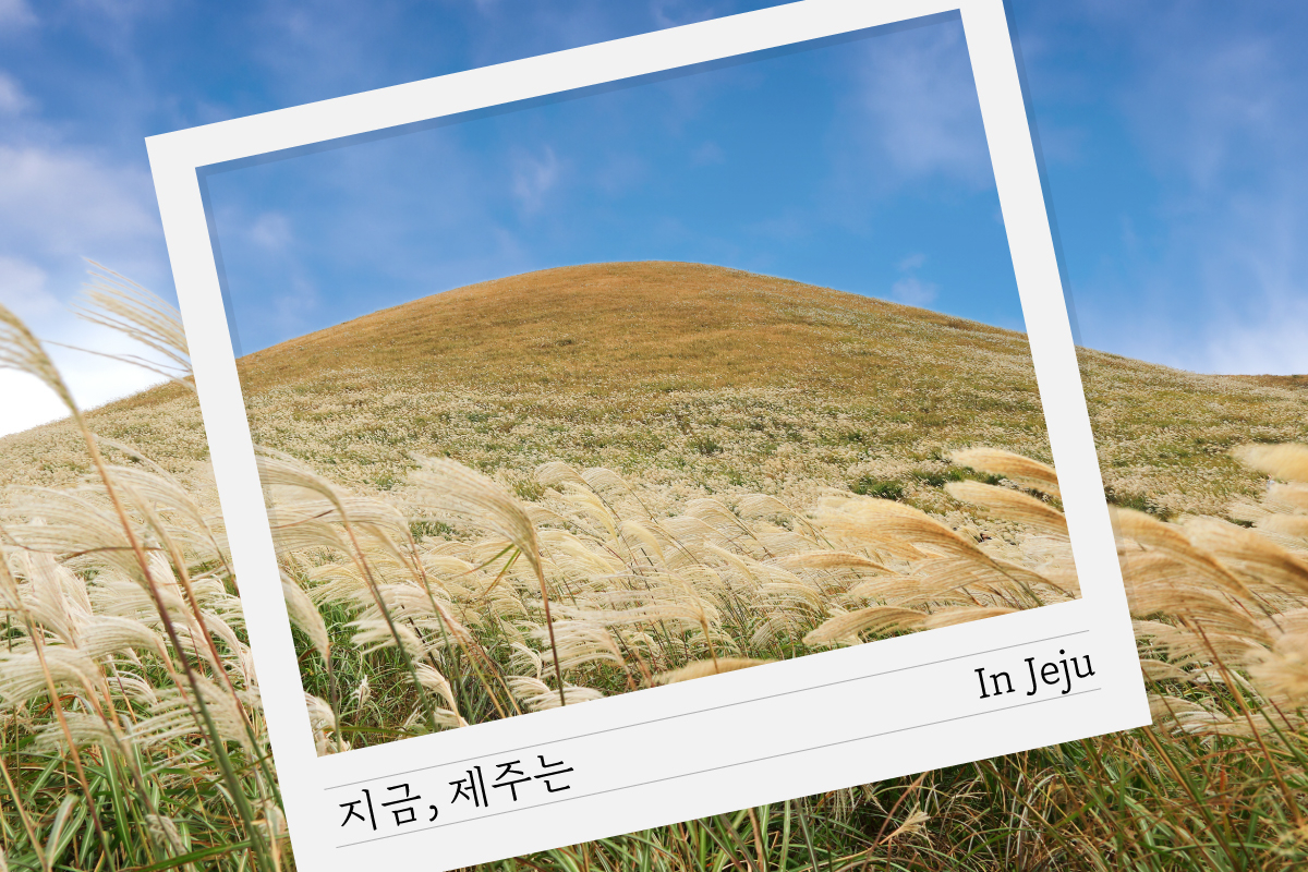신화공조 이미지