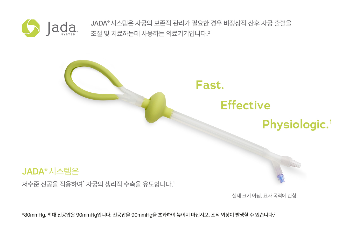 제이다 이미지