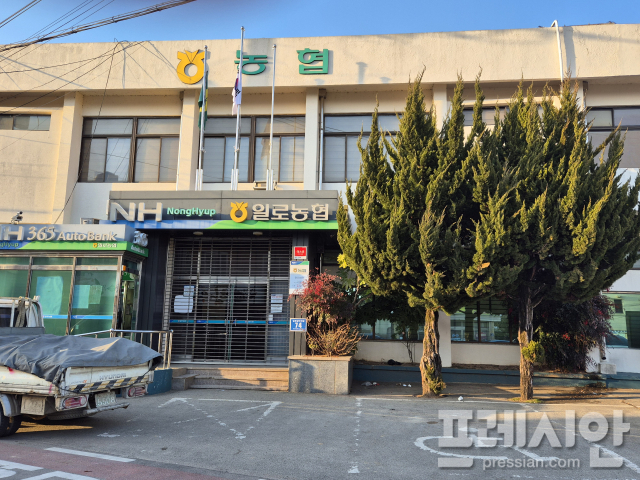 일로농업협동조합 하나로마트 이미지